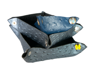 IMGP4564-removebg-preview